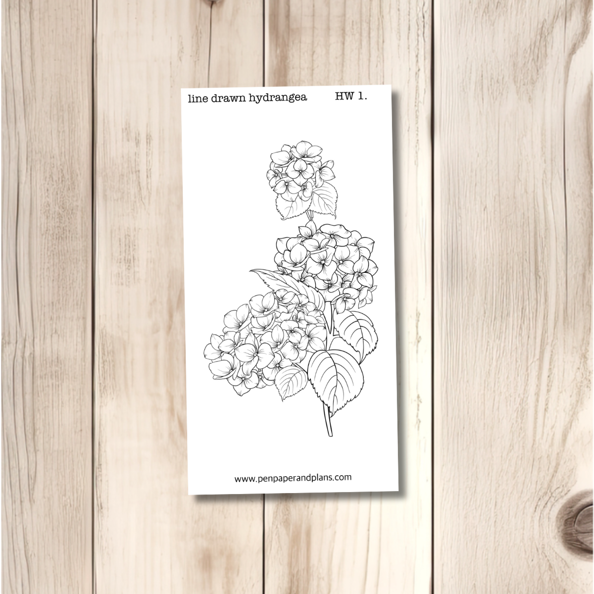 Line Drawn Hydrangea  Weeks Full Page Sticker