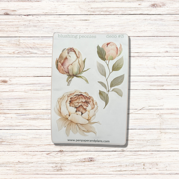 Blushing Peonies