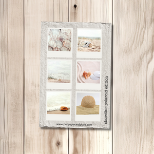 Shoreline Polaroid Edition