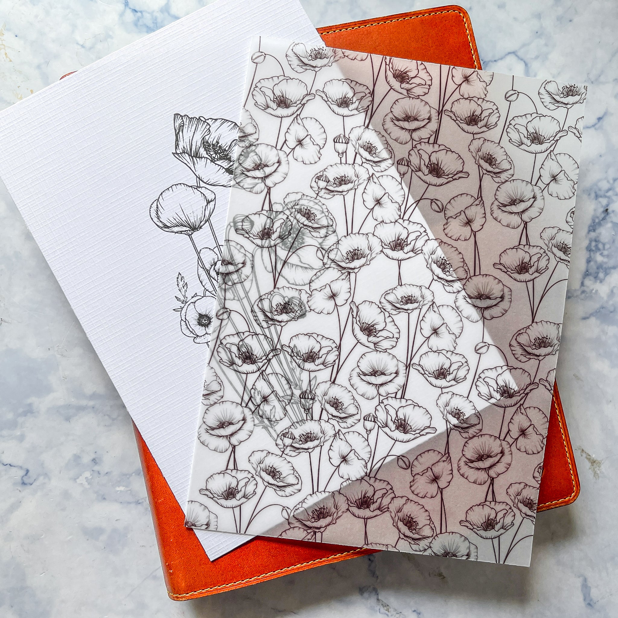Line Drawn Poppy Dashboards