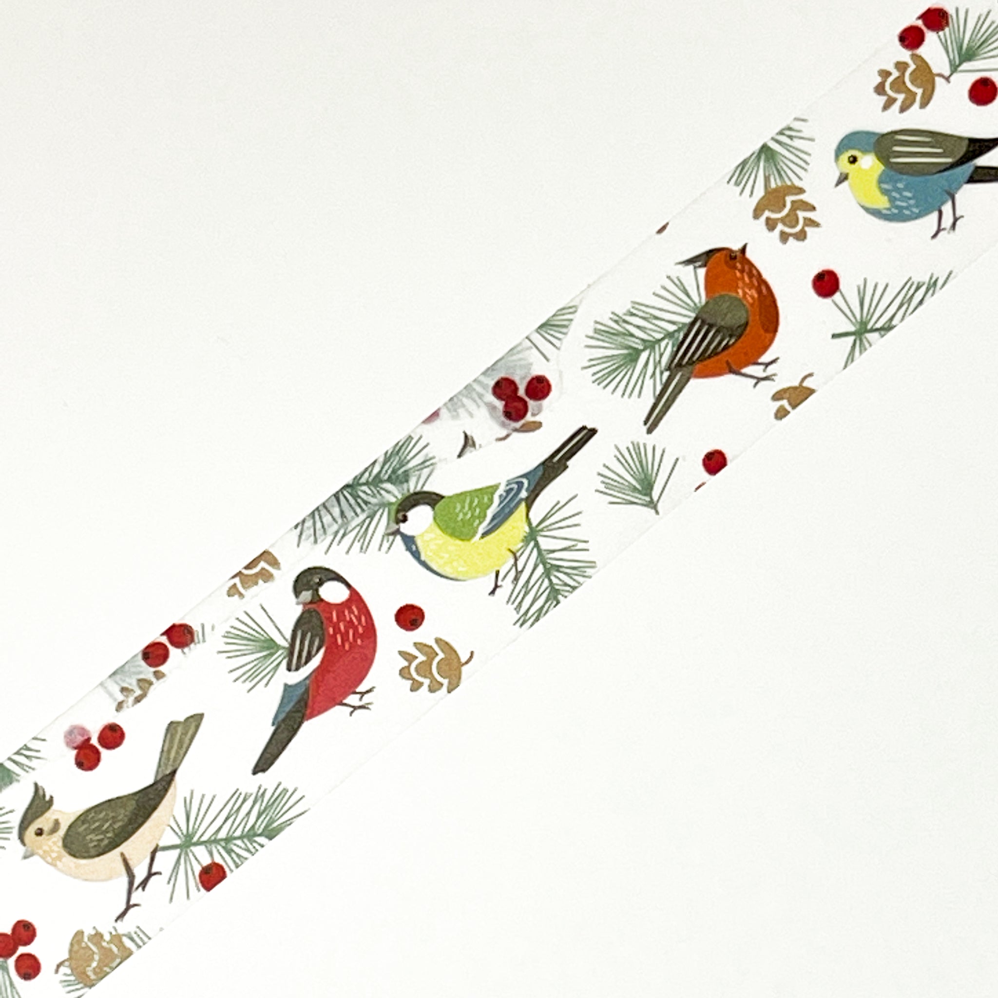 Winter Birds Washi