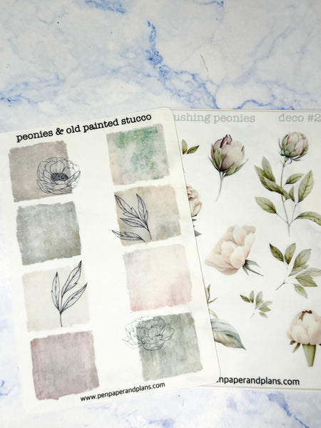 Peonies & Old Painted Stucco