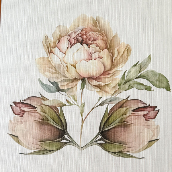 Blushing Peonies Dashboards