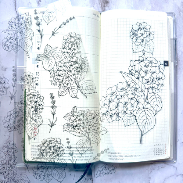 Line Drawn Hydrangea  Weeks Full Page Sticker