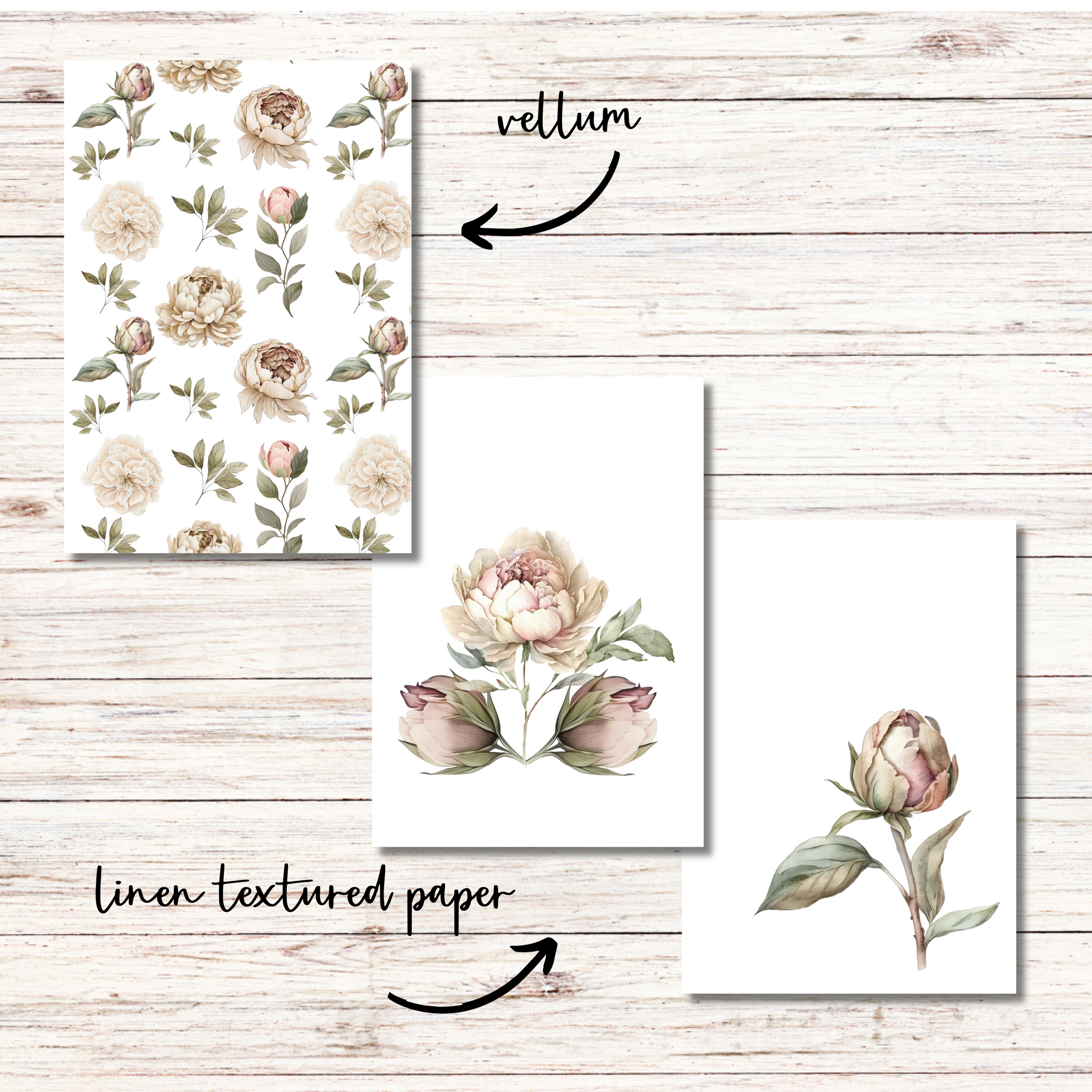 Blushing Peonies Dashboards