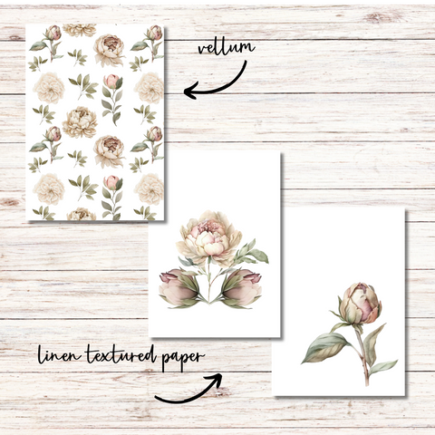Blushing Peonies Dashboards