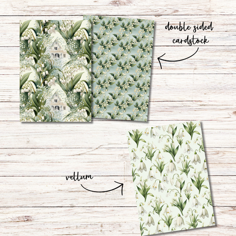Fair Snowdrop Dashboards