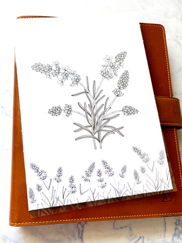 Line Drawn Lavender Dashboards