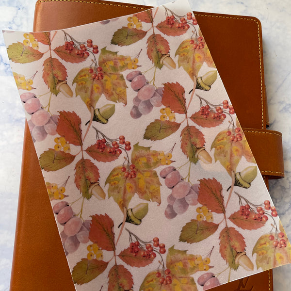 Golden Autumn Vellum Dashboard