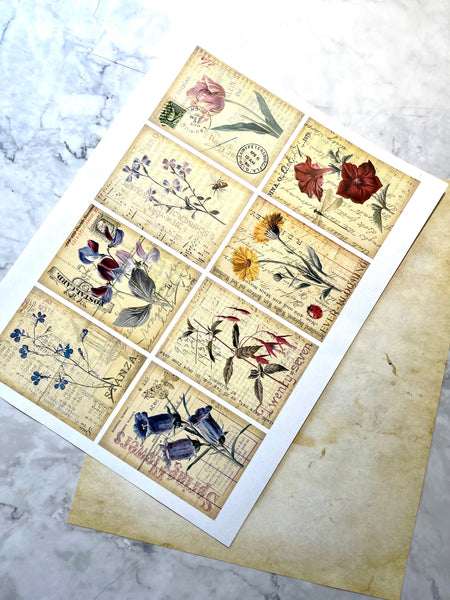 Vintage Botanicals  Ephemera Deco