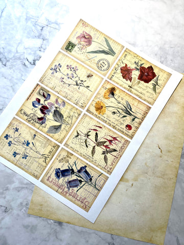 Vintage Botanicals  Ephemera Deco