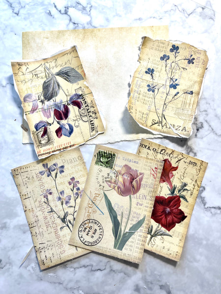 Vintage Botanicals  Ephemera Deco
