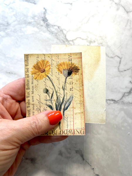 Vintage Botanicals  Ephemera Deco