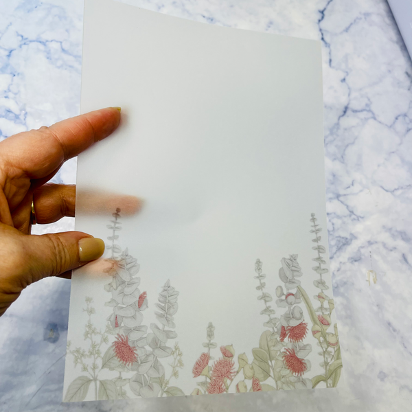 Gum Nut Vellum