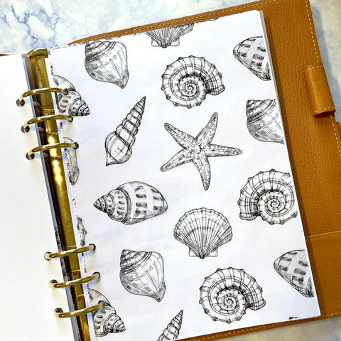 Seashells in Black Acetate Dashboard