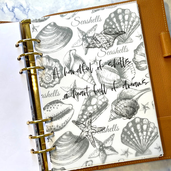 Seashells in Black Vellum