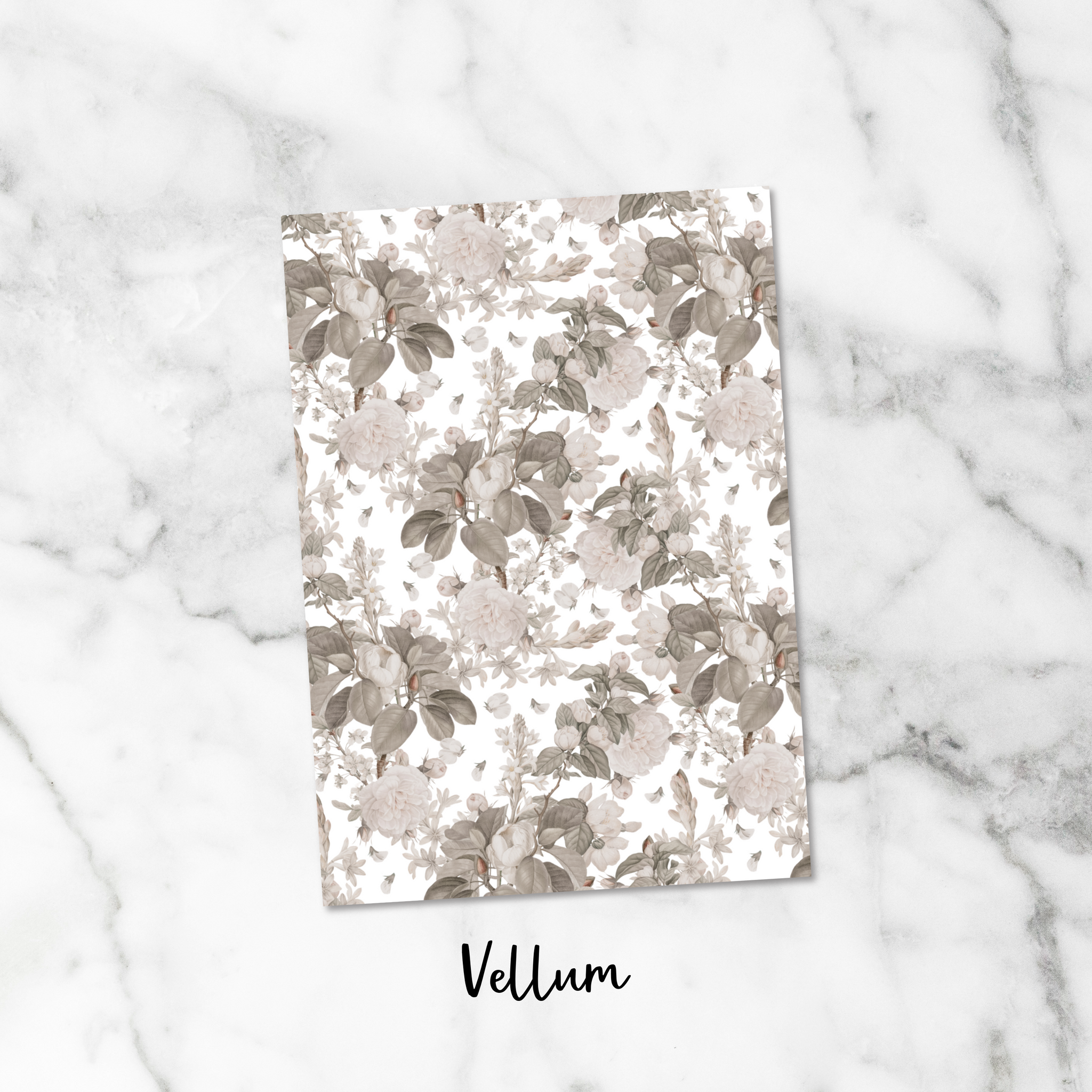 Romantic Neutrals Vellum Dashboard