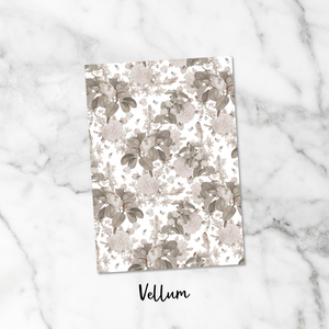 Romantic Neutrals Vellum Dashboard