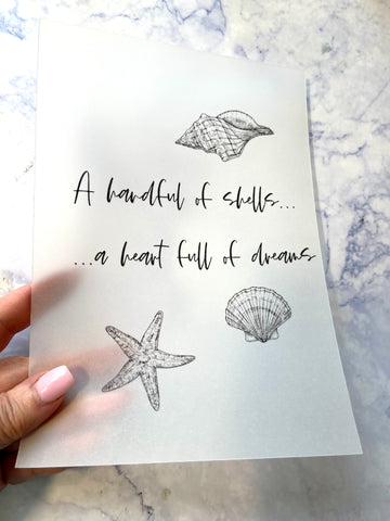 Seashells in Black Vellum